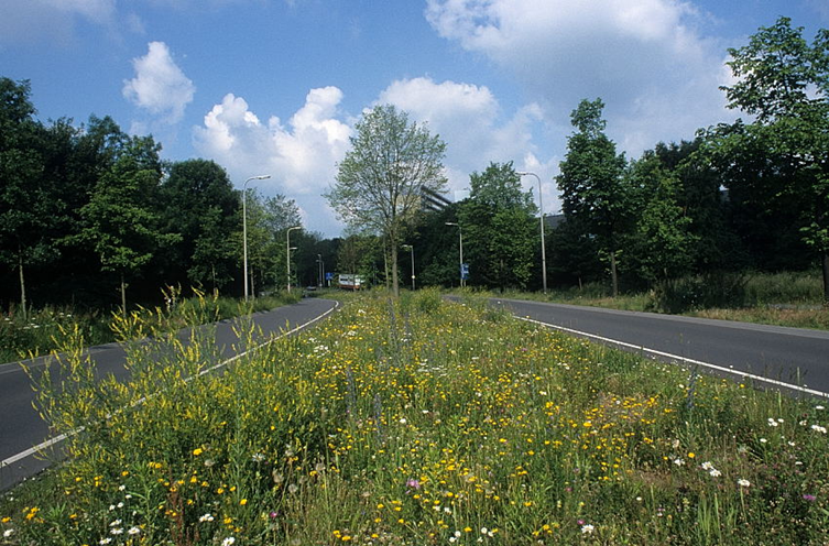 Bloemenberm Bloemenberm