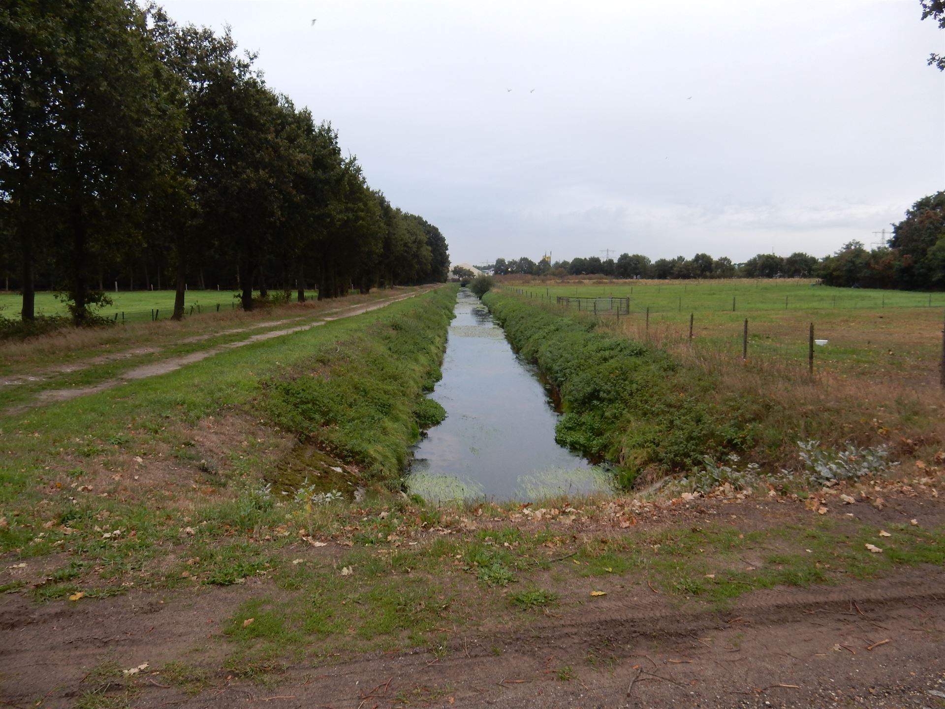 Rechte beek, steile oevers zonder beplanting Rechte beek, steile oevers zonder beplanting