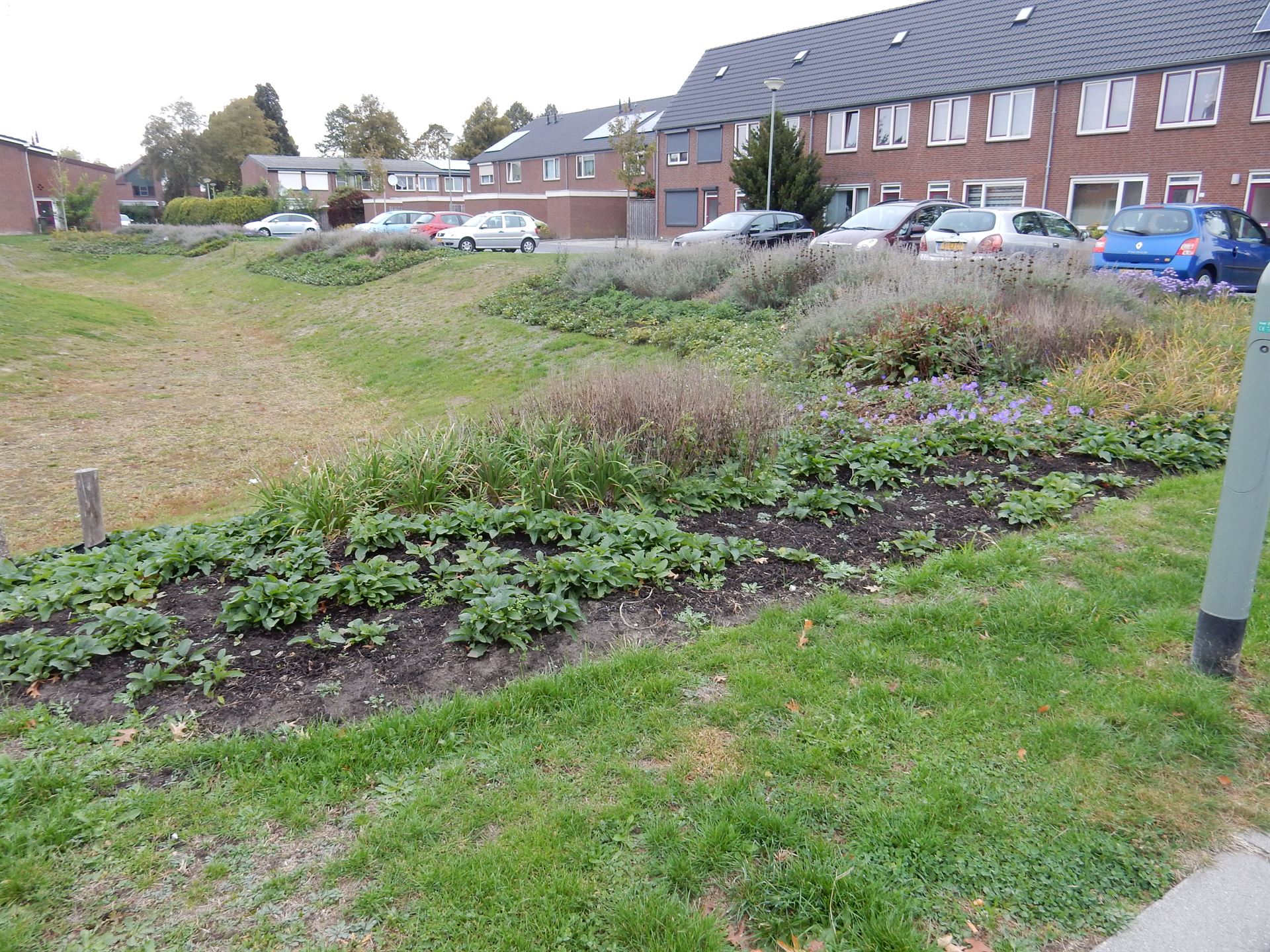Beheerplan Venray 04 Beheerplan Venray 04