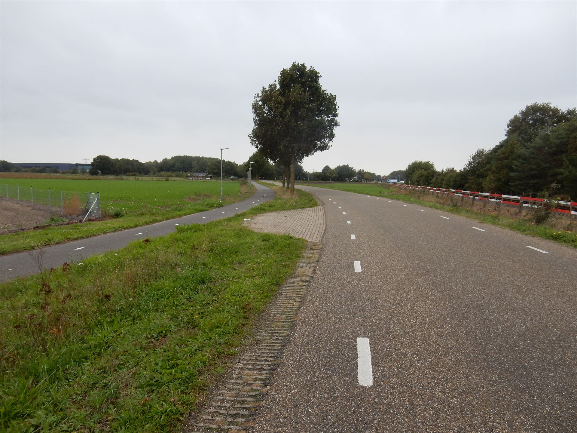 Hier kunnen wel bomen bij Hier kunnen wel bomen bij