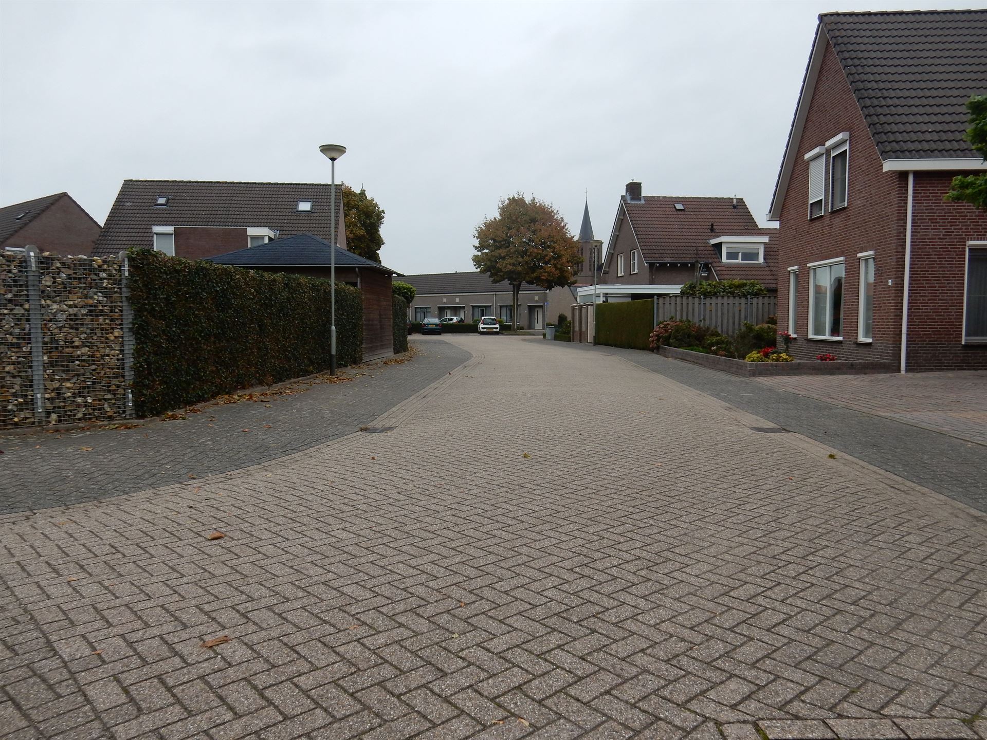 Veel bestrating, weinig groen. Heet in de zomer Veel bestrating, weinig groen. Heet in de zomer